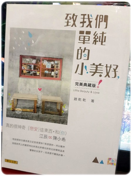 趙乾乾 致我們單純的小美好 聯合文學小說閱讀心得陳小希江辰 宅宅生存日誌